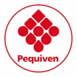 Servicios y Cursos Online de Gestión de Proyectos, gestion de proyectos, pits soluciones, Capacitaciones Online en gestión de proyectos