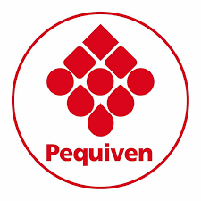 Servicios y Cursos Online de Gestión de Proyectos, gestion de proyectos, pits soluciones, Capacitaciones Online en gestión de proyectos