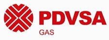 Servicios y Cursos Online de Gestión de Proyectos, gestion de proyectos, pits soluciones, Capacitaciones Online en gestión de proyectos